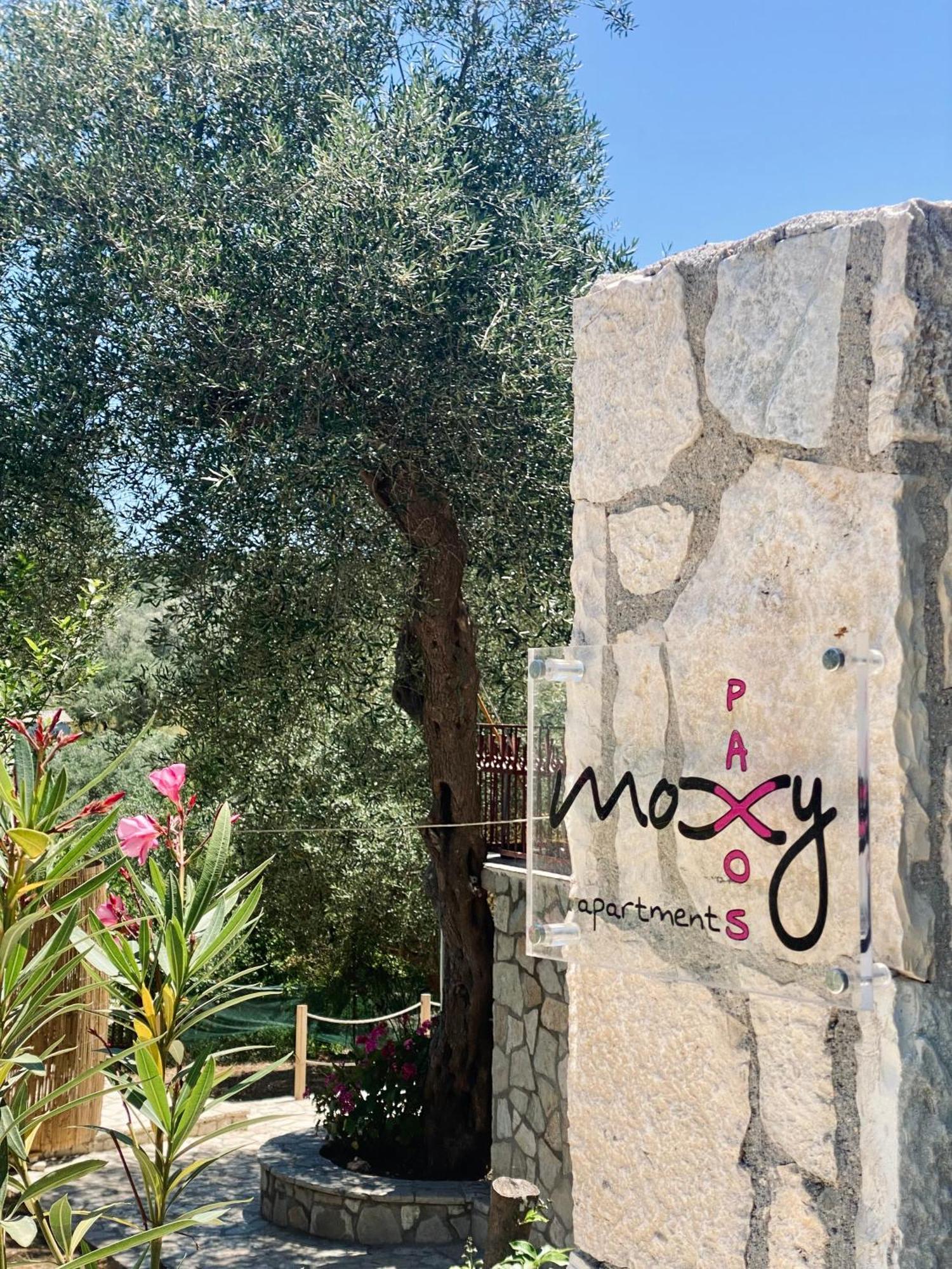 Moxy Paxos Apartments 盖奥斯 外观 照片